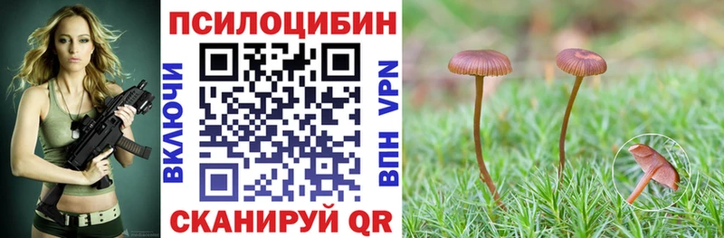 Псилоцибиновые грибы GOLDEN TEACHER Усинск